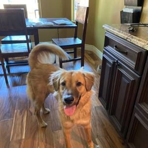 Meet your Posher, Max